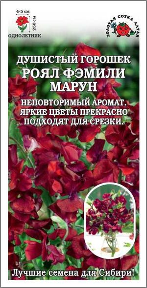 Душистый горошек Роял Фэмели Марун Золотая Сотка Алтая