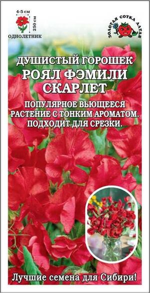Душистый горошек Роял Фэмели Скарлет Золотая Сотка Алтая