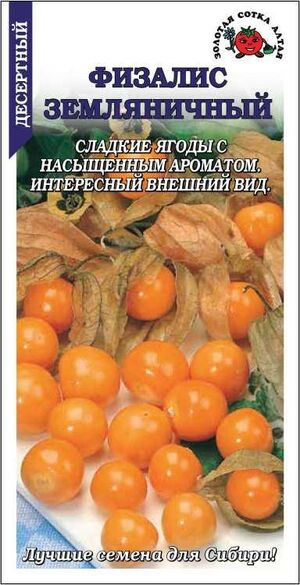 Физалис Земляничный Золотая Сотка Алтая