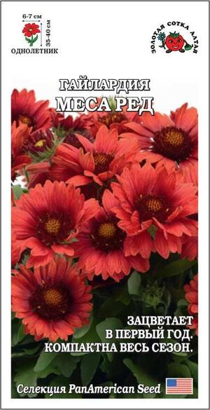 Гайлардия Меса Ред Золотая Сотка Алтая