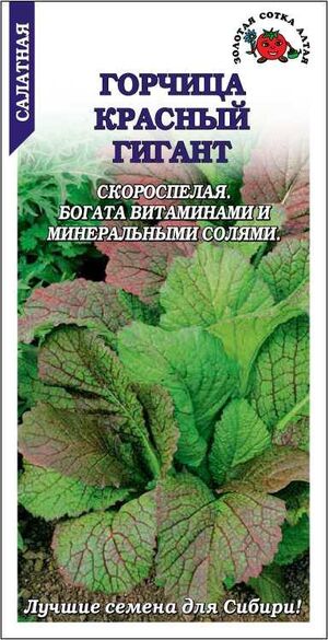 Горчица Красный Гигант Золотая Сотка Алтая