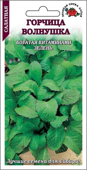 Горчица Волнушка Листовая Золотая Сотка Алтая