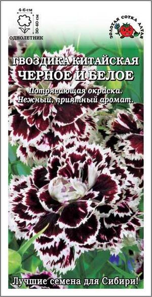 Гвоздика Китайская Черное и Белое Золотая Сотка Алтая
