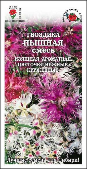 Гвоздика Пышная смесь Золотая Сотка Алтая