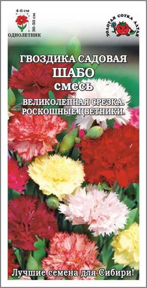 Гвоздика садовая Шабо смесь Золотая Сотка Алтая