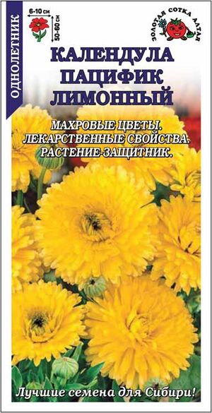 Календула Пацифик Лимонный Золотая Сотка Алтая