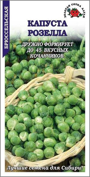 Капуста брюссельская Розелла Золотая Сотка Алтая