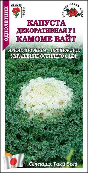 Капуста декоративная Камоме Вайт Золотая Сотка Алтая