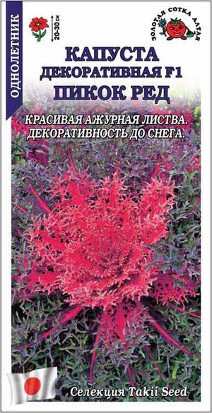 Капуста декоративная Пикок Ред Золотая Сотка Алтая