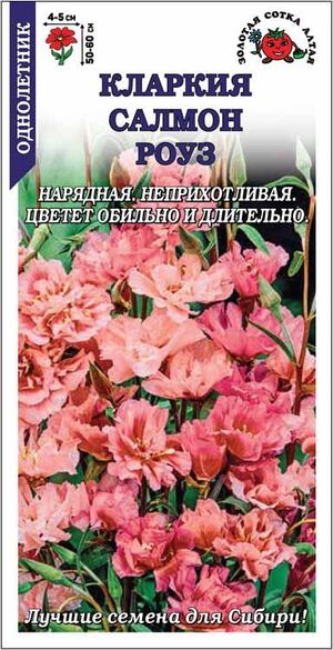 Кларкия Салмон Роуз Золотая Сотка Алтая