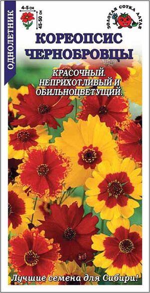 Кореопсис Чернобровцы Золотая Сотка Алтая