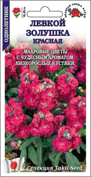 Левкой Золушка красная Золотая Сотка Алтая