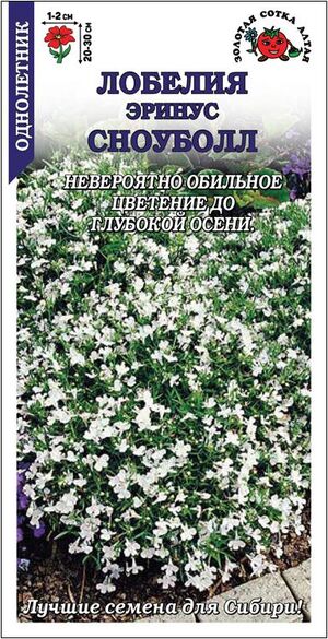 Лобелия Эринус Сноуболл Золотая Сотка Алтая
