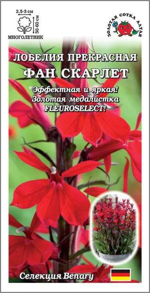 Лобелия Фан Скарлет Золотая Сотка Алтая
