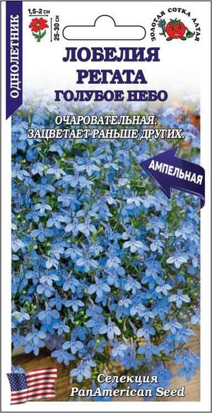 Лобелия Регата Голубое небо Золотая Сотка Алтая