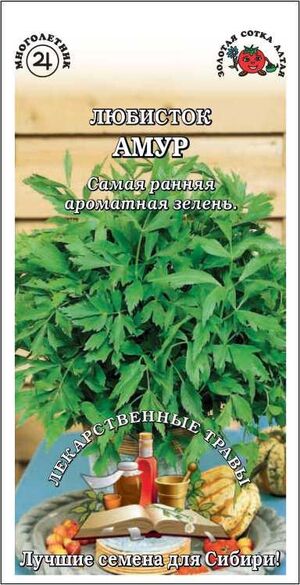 Любисток Амур Золотая Сотка Алтая