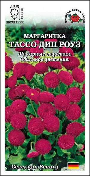 Маргаритка Тассо Дип Роуз Золотая Сотка Алтая