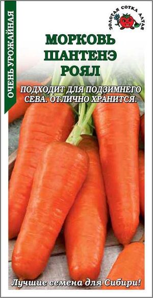 Морковь Шантанэ Роял Золотая Сотка Алтая