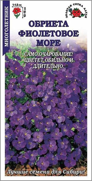 Обриета Фиолетовое Море Золотая Сотка Алтая