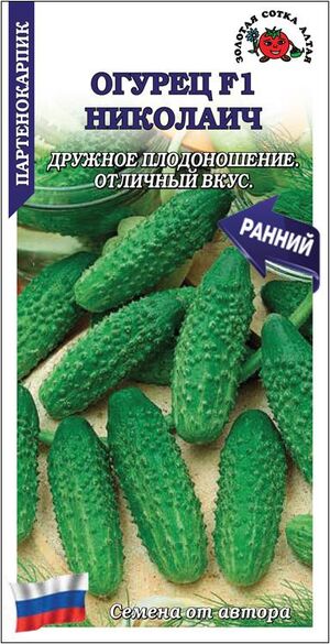 Огурец Николаич Золотая Сотка Алтая