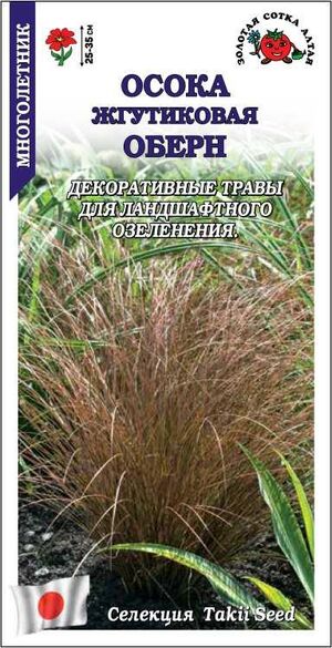 Осока Оберн жгутикова Золотая Сотка Алтая