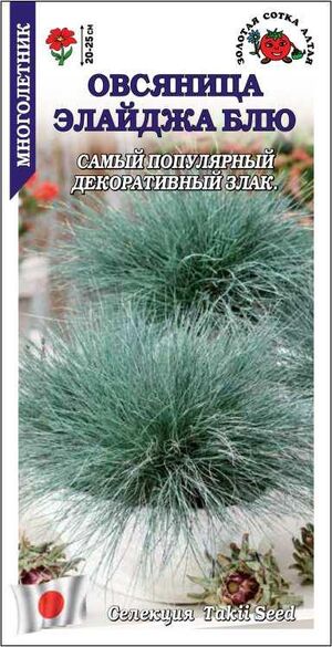 Овсяница Элайджа Блю Золотая Сотка Алтая