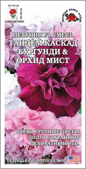 Петуния Тандем Каскад Бургунди Орхид Мист  Золотая Сотка Алтая