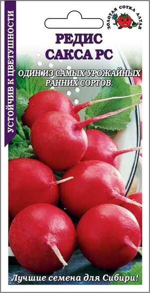 Редис Сакса Золотая Сотка Алтая
