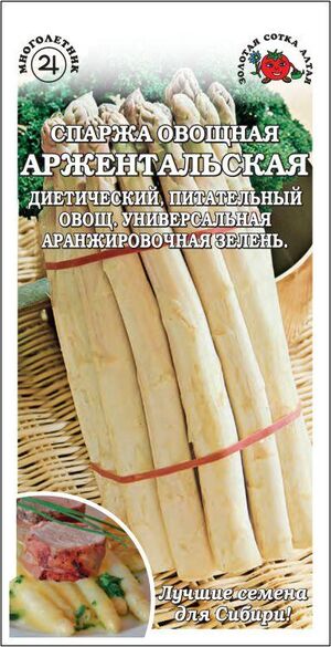 Спаржа Аржентельская белая Золотая Сотка Алтая