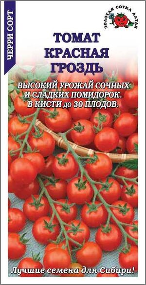 Томат Красная Гроздь Золотая Сотка Алтая