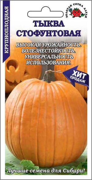 Тыква Стофунтовая Золотая Сотка Алтая
