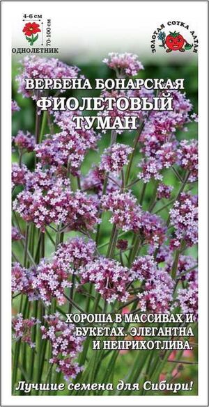 Вербена бонарская Фиолетовый Туман Золотая Сотка Алтая