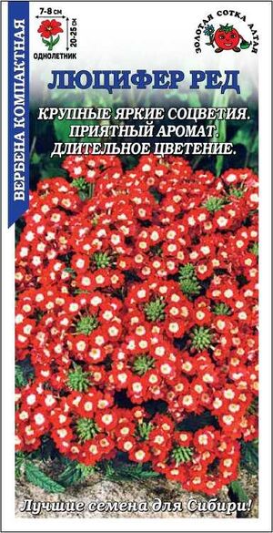 Вербена Люцифер Ред Золотая Сотка Алтая