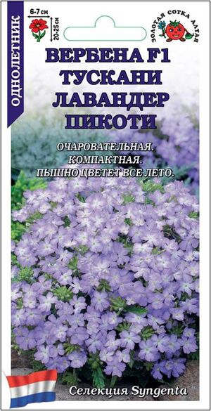 Вербена Тускани Лавандер Пикоти Золотая Сотка Алтая