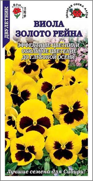 Виола Золото Рейна Золотая Сотка Алтая