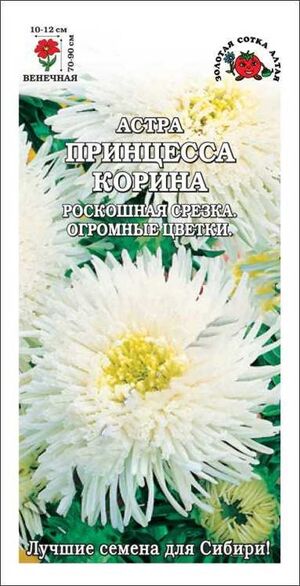 Астра Принцесса Корина Золотая Сотка Алтая