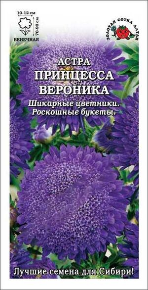 Астра Принцесса Вероника Золотая Сотка Алтая
