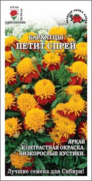 Бархатцы (Тагетес) Петит Спрей Золотая Сотка Алтая