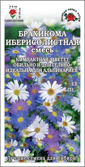Брахикома Иберисолистная смесь Золотая Сотка Алтая
