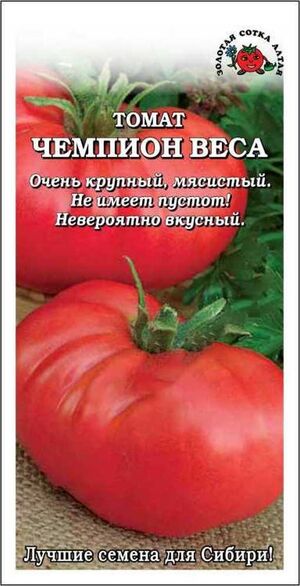 Томат Чемпион веса Золотая Сотка Алтая