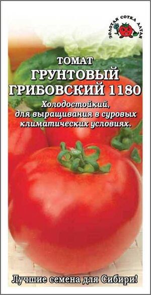 Томат Грунтовый Грибовский Золотая Сотка Алтая