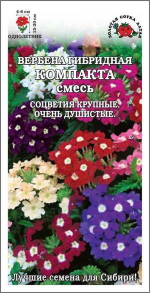 Вербена Компакта Смесь Золотая Сотка Алтая