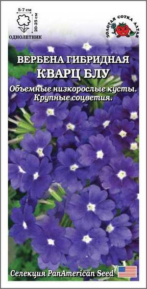 Вербена Кварц Блу Золотая Сотка Алтая