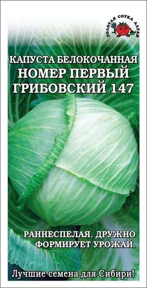 Капуста №1 Грибовский белокочанная Золотая Сотка Алтая