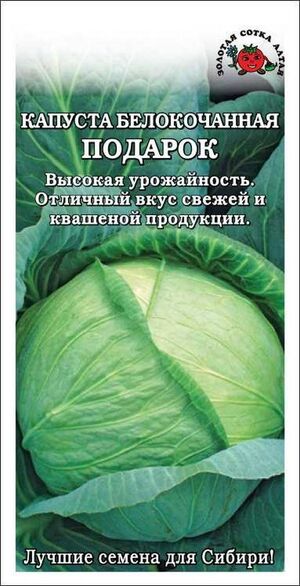 Капуста Подарок белокочанная Золотая Сотка Алтая