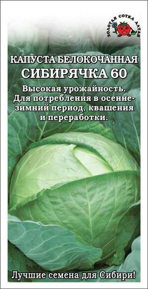 Капуста Сибирячка 60 белокочанная Золотая Сотка Алтая