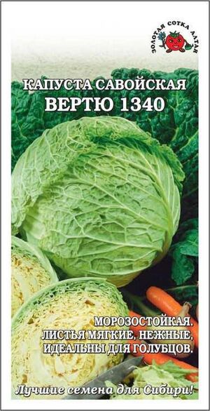 Капуста Вертю 1340 савойская  Золотая Сотка Алтая