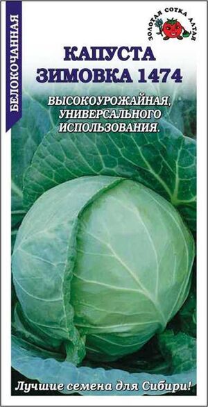 Капуста Зимовка белокочанная  Золотая Сотка Алтая