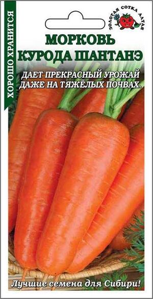 Морковь Курода Шантанэ Золотая Сотка Алтая