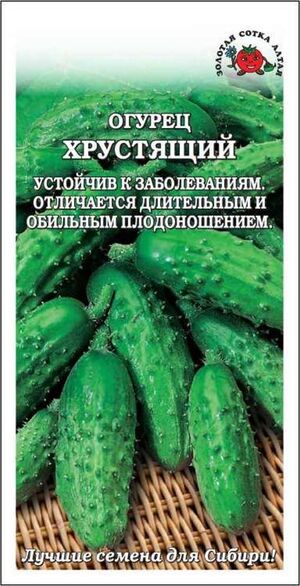 Огурец Хрустящий Золотая Сотка Алтая